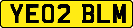 YE02BLM