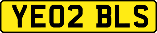 YE02BLS