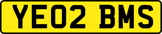YE02BMS