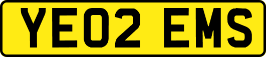 YE02EMS