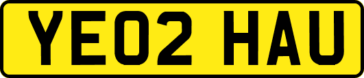 YE02HAU