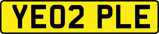 YE02PLE