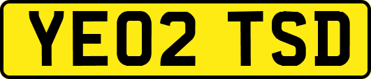 YE02TSD