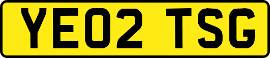 YE02TSG