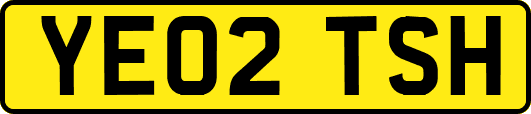 YE02TSH