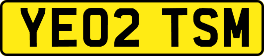 YE02TSM
