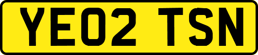 YE02TSN