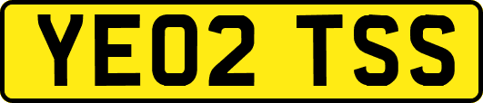 YE02TSS