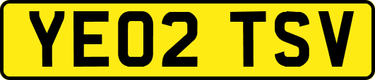 YE02TSV