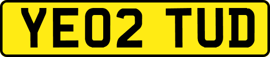 YE02TUD