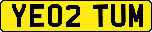 YE02TUM