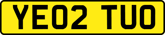 YE02TUO