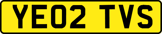 YE02TVS