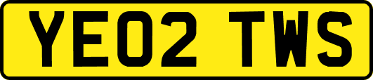 YE02TWS
