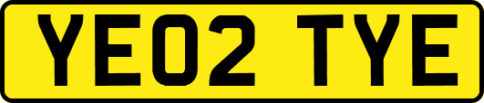YE02TYE