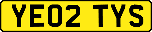 YE02TYS
