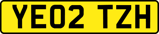 YE02TZH