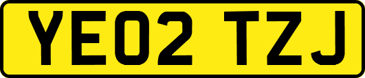 YE02TZJ