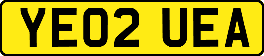 YE02UEA
