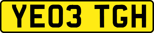 YE03TGH