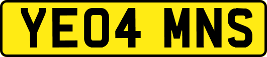 YE04MNS