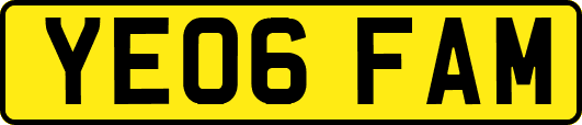 YE06FAM