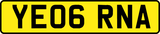 YE06RNA