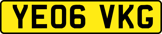 YE06VKG