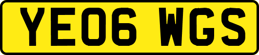 YE06WGS
