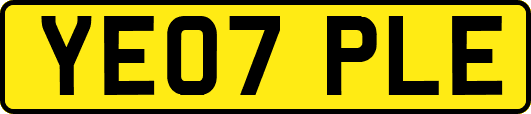 YE07PLE