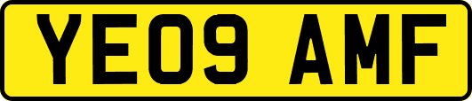 YE09AMF