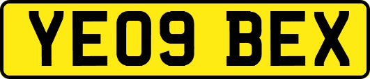 YE09BEX