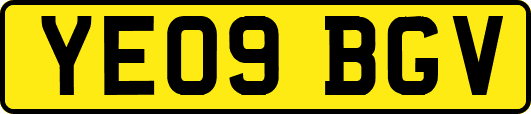 YE09BGV