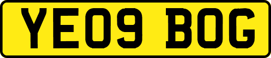YE09BOG