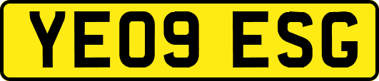 YE09ESG