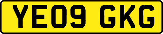 YE09GKG