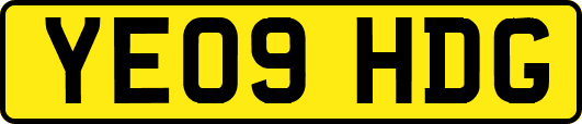 YE09HDG