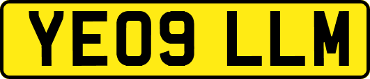 YE09LLM