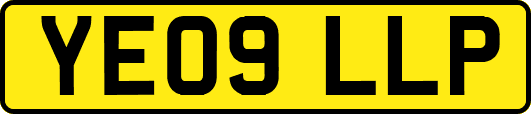 YE09LLP