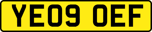 YE09OEF