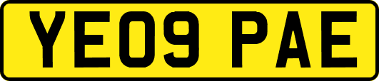 YE09PAE