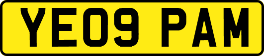 YE09PAM