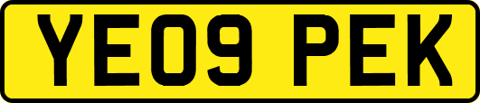 YE09PEK