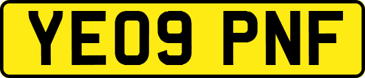 YE09PNF