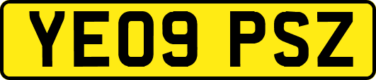 YE09PSZ