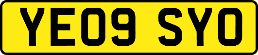 YE09SYO