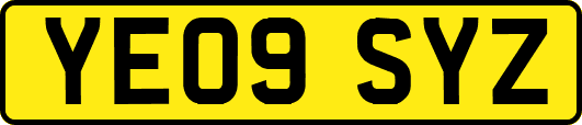 YE09SYZ