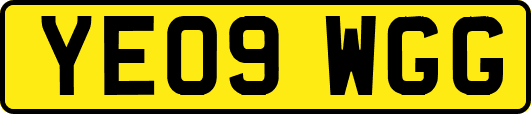 YE09WGG