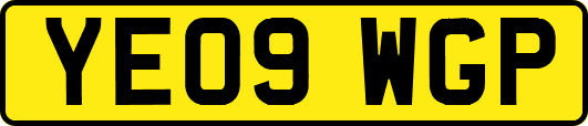 YE09WGP