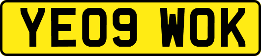 YE09WOK